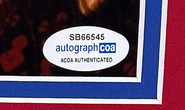 Christmas Vacation Signed Display Christmas Vacation Signed Display