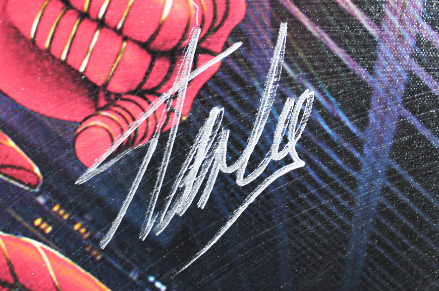 Stan Lee Marvel Authentic Signed 20x24 Spider-Man Canvas PSA/DNA