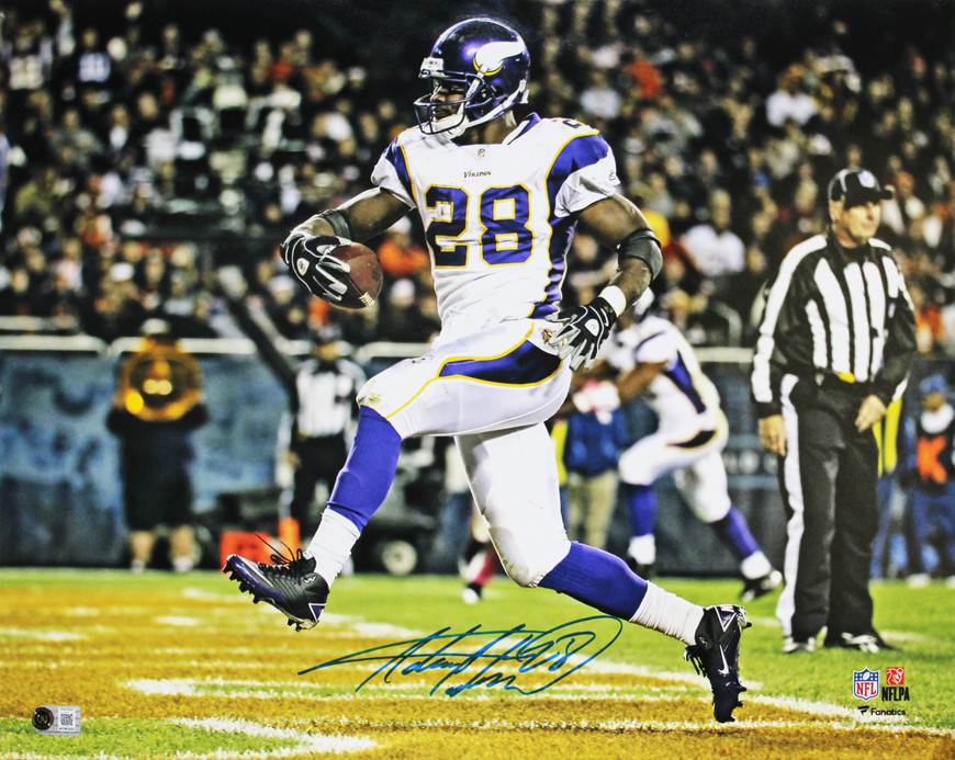 Vikings Adrian Peterson Signed 16x20 Horizontal Touchdown Photo