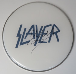 Paldea Evolved Booster Bundle