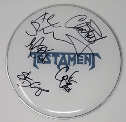 Testament Signed Drumhead (Top Hit example image)