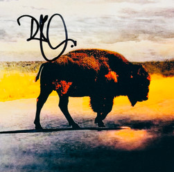 Robert Plant Signed 