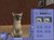 Sims Pet Stories game