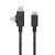 Native Union - Belt Cable Duo Pro 240W (USB-C to USB-C & Lightning) - Cosmos