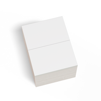 8.5" x 5.5" - Laser Sheet Labels (2-Up) 8.5" x 5.5" - Laser Sheet Labels (2-Up)