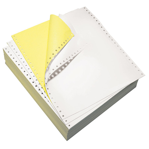 9 1/2" x 11" 15# Blank Regular Perforation, 2-Part Carbonless, Continuous Computer Paper, 1700/3400 sheets, 91192