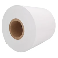 Walter Surface Technologies 54B087 SURFOX Stencil Paper Roll | 100mm x 20m Size