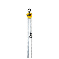 Ingersoll Rand KM025-15-13 KM Kinetic Series Manual Hoist | 1/4 Ton Capacity | 15 ft Lift | 18 ft Drop