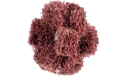 Pferd 44210 1-1/2" Non Woven Polinox Cross Buff | 12,600 Max. RPM | Aluminum Oxide 80 Grit | 8-32" Thread | Coarse Grade | Sold by Box of 20