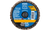 Pferd 42913 Mini Polifan Flap Disc | Arbor Hole | 2" Diameter | Aluminum Oxide 60 Grit | Type  CDR | Sold by Box of 10