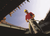 Ingersoll Rand MX60-SD Heavy-Duty Fixed-Spike Driver | Standard Handle | 1250 BPM for Rail Spikes
