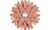 Pferd 44020 2-1/4" Polistar Tube Flap Wheel | 6,350 Max. RPM | 4mm Bore | Aluminum Oxide 60 Grit | Box of 10