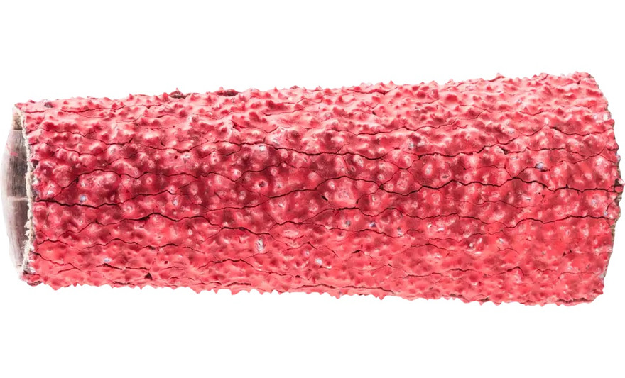 Pferd 41388 0.75" x 0.5" x 2-1/2" Abrasive Spiral Band | Tapered Shape | Ceramic Oxide CO-COOL | 36 Grit | Box of 100 Pferd 41388 0.75" x 0.5" x 2-1/2" Abrasive Spiral Band | Tapered Shape | Ceramic Oxide CO-COOL | 36 Grit | Box of 100