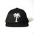 Westside Palm Snapback