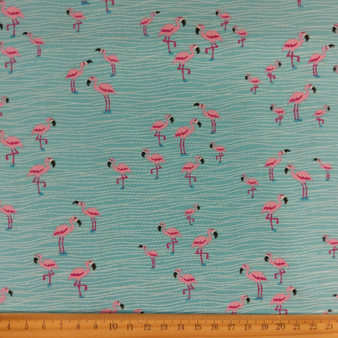 Flamingos