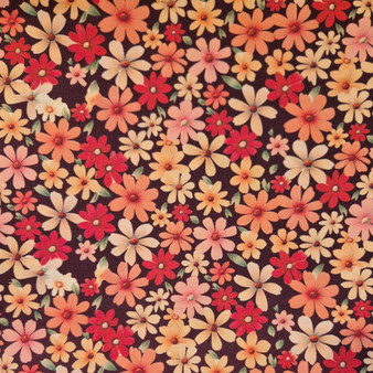 Peach Daisies