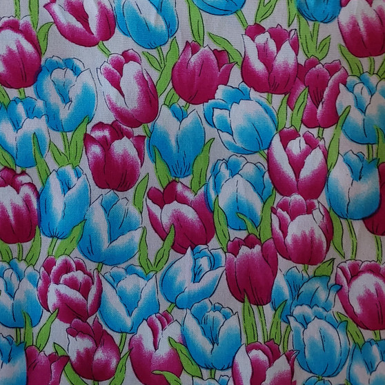 Tulips