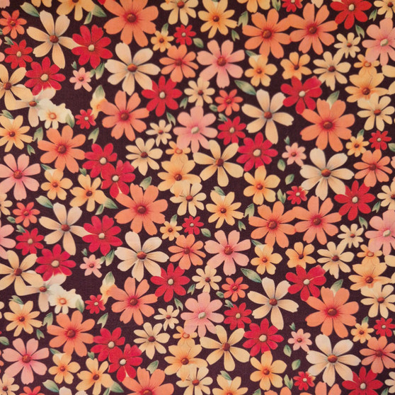 Peach Daisies