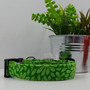 Green Daisy