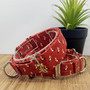 Pelicans