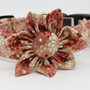 Peach Blossom