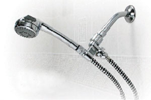 Deluxe Hand Held Shower Spray