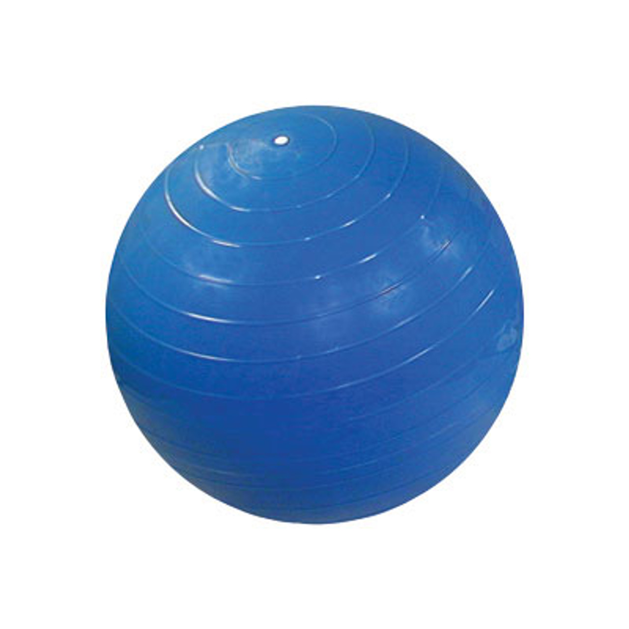 https://cdn11.bigcommerce.com/s-13ttxa/images/stencil/1280x1280/products/17363/17311/cando-42-inch-inflatable-exercise-ball-blue__83968.1704233600.jpg?c=2