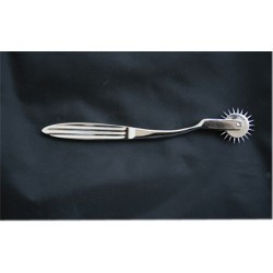 YNR® Wartenberg Pinwheel Sensory Stimulate Neurological Physio Pin - Foto 4