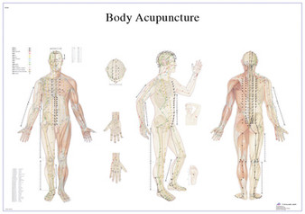 Anatomical Chart - body acupuncture chart, paper
