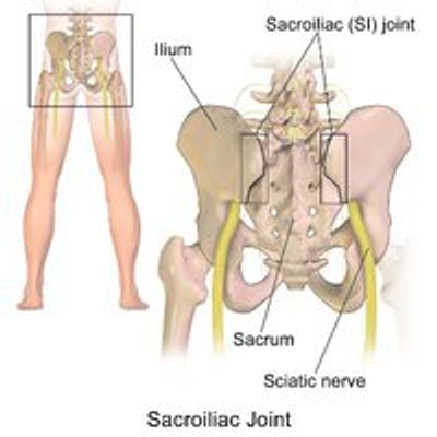 Pelvic Girdle Pain – Physio Treatment - Lion Rocker Physiotherapy