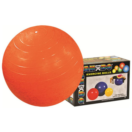 inflatable exercise ball