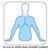 These Hi-Boy units are designed for complete coverage to the back, hip and shoulder areas. These Hi-Boy units are designed for complete coverage to the back, hip and shoulder areas.