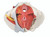6-Part Female Pelvis Model with Ligaments and Organs, 3B Smart Anatomy - Bottom View