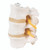 Flexible Mount, 3 Lumbar Vertebrae Model, 3B Smart Anatomy Flexible Mount, 3 Lumbar Vertebrae Model, 3B Smart Anatomy