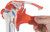Shoulder Joint Anatomical Model with Rotator Cuff - 3B Smart Anatomy