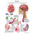 Anatomical Chart - effects of a stroke chart paper