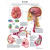 Anatomical Chart - Brain with stroke chart, laminated