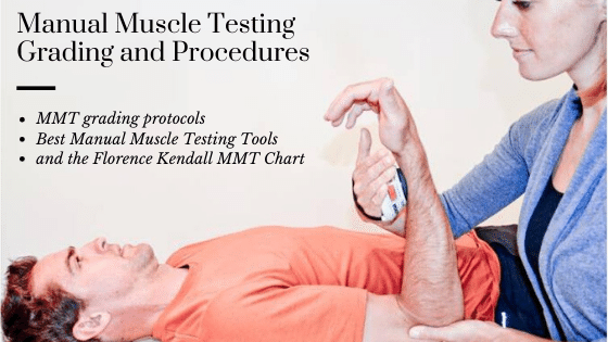 Manual Muscle Testing Grading And Procedures