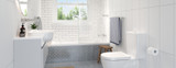 Back-To-Wall Vs. Wall-Hung Toilets: A Comparative Guide blog