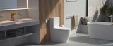 What Is The Buzz About Smart Toilets? blog