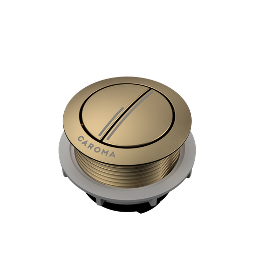 Toilet Cistern Button & Holder – Fits Caroma Novelli Porcher Dual Flush Valve