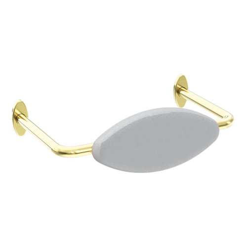 Mecca Care DDA Toilet Backrest Brushed Gold [293310]
