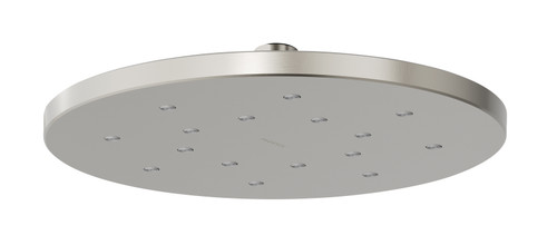 LuxeXP Shower Rose 250mm Round Brushed Nickel [296163]
