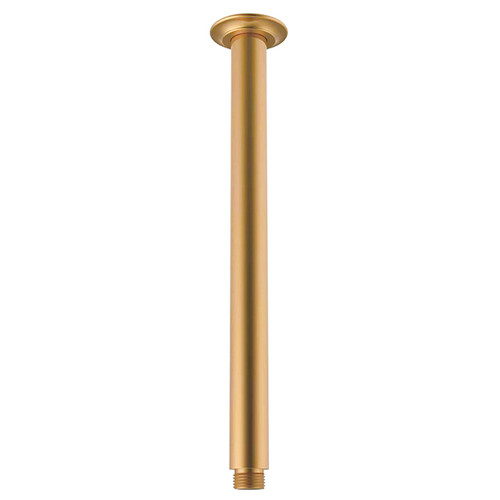 Eternal Shower Dropper 300mm Brush Brass [296128]