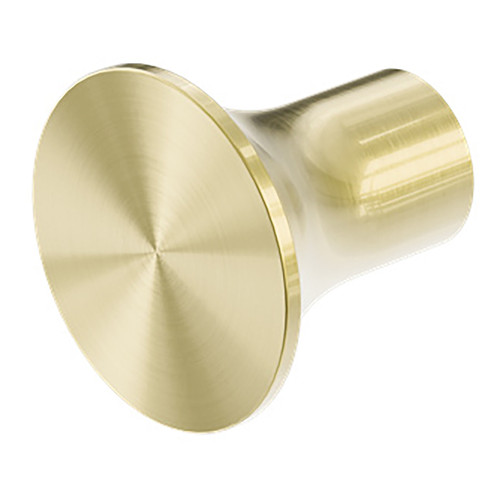Zen SS316L Robe Hook Brushed Gold [300326]