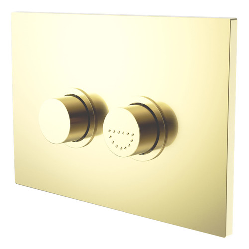 Mecca Care Raised Disabled Care Pneumatic Flush Buttons Plate Brushed Gold [300112]