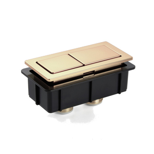Back to Wall Toilet Button (Only) Brushed Gold [305967]