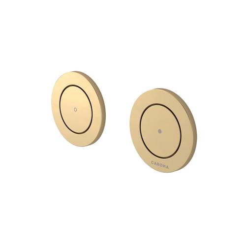 Invisi Series II Round Dual Flush Remote Buttons (Plastic) Brushed Brass [322089]