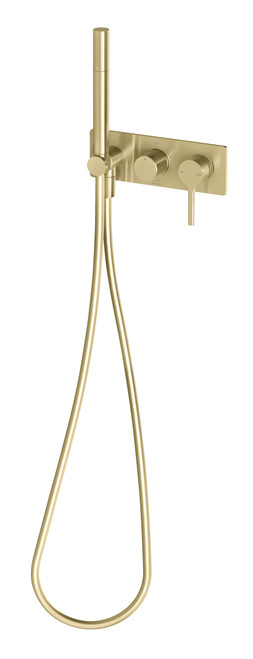 Vivid Slimline Oval Wall Shower System Brushed Gold [301690]