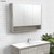 Uni Mirror Cabinet w/Display Shelf 1200mm Industrial [169170]